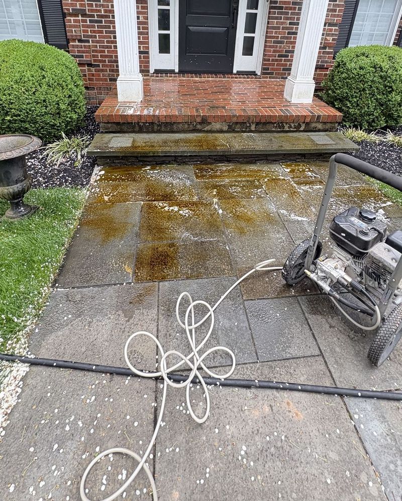 Bluestone walkway before pressure washing, stained and green